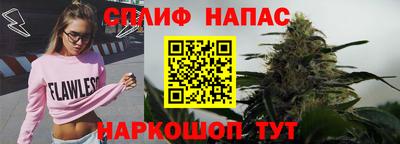 шишки Нарткала