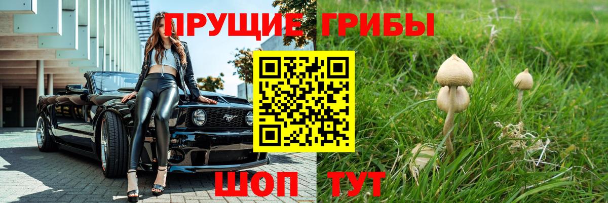 Псилоцибиновые грибы GOLDEN TEACHER  Вход с VPN  Краснодар 